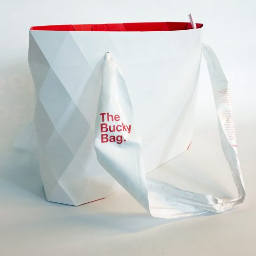 The Bucky Bag: Cardboard Tote
