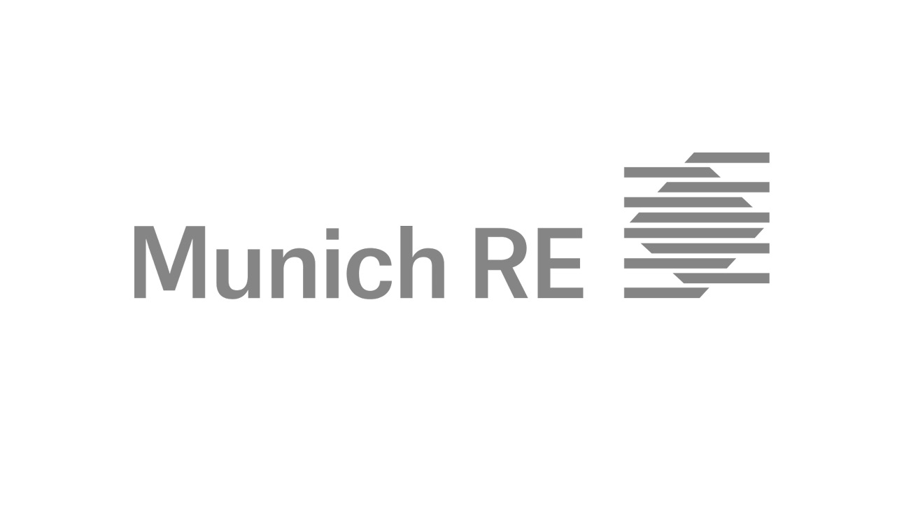 munich-re-grid-2